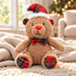 Christmas Bear Dog Toy