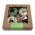 Christmas Donut Boxed Dog Treats