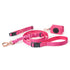 City Dog Collar Park Ave Pink