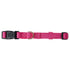 City Dog Collar Park Ave Pink