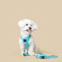 City Dog Leash Fifth Avenue Blue
