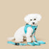 City Dog Leash Fifth Avenue Blue