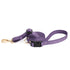 City Dog Leash Lilac Grey