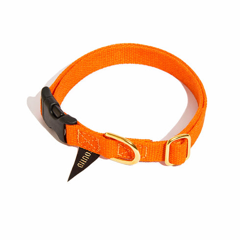 Classic Cotton Dog Collar Orange