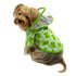 Clear View Froggy Dog Raincoat Green