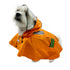 Clear View Poncho Dog Raincoat Orange