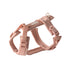 Comfort Dog Harness 'Powder Rose'