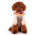 Contrast Hoodie Dog Sweater