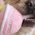 Cosmuttpolitan Dog Toy