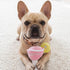 Cosmuttpolitan Dog Toy