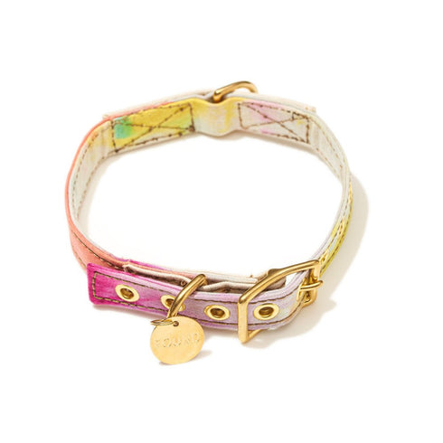 Cotton Canvas Dog Collar Hand Dyed Multi