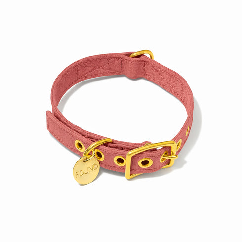 Cotton Canvas Dog Collar Nantucket