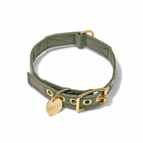 Cotton Canvas Dog Collar Olive