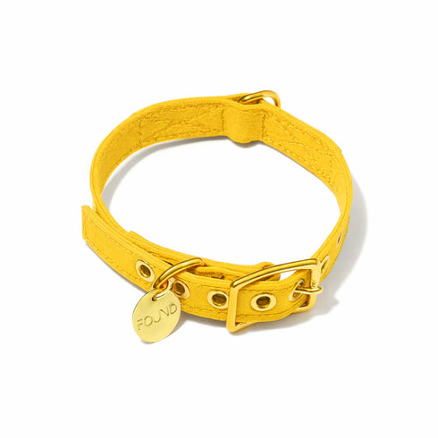 Cotton Canvas Dog Collar Yellow