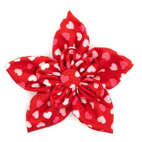 Cupid Dog Collar Flower