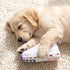DOG Workout Shoe Dog Toy