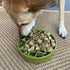 Deep Slow Feeder Dog eBowl Festive Pines