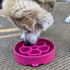 Deep Slow Feeder Dog eBowl Flower