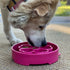 Deep Slow Feeder Dog eBowl Flower