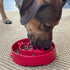 Deep Slow Feeder Dog eBowl Jolly Santa