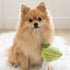 Dirty Muttini Dog Toy