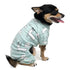 Dog Pajamas Forest