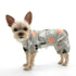 Dog Pajamas Pine Trees