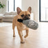 Dog Perignonn Champagne Dog Toy