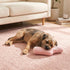 Doggo Athletic Sock Dog Toy