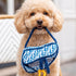 Dogior Saddle Bag Dog Toy