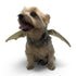 Dragon Wings Dog Costume