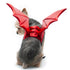 Dragon Wings Dog Costume