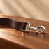 Durable Nylon Dog Leash Brown