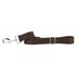Durable Nylon Dog Leash Brown