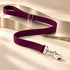 Durable Nylon Dog Leash Burgundy