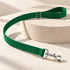 Durable Nylon Dog Leash Kelly Green
