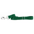 Durable Nylon Dog Leash Kelly Green