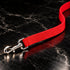Durable Nylon Dog Leash Red