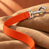 Durable Nylon Dog Leash Rust