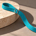 Durable Nylon Dog Leash Teal