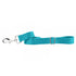 Durable Nylon Dog Leash Teal