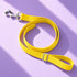 Durable Nylon Dog Leash Yellow