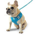 EasyGO Basic Step-In Dog Harness
