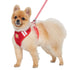 EasyGO Basic Step-In Dog Harness