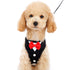EasyGO Bowtie Step-In Dog Harness