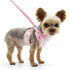 EasyGO Butterfly Step-In Dog Harness
