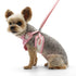 EasyGO Butterfly Step-In Dog Harness