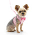 EasyGO Cherish Heart Step-In Dog Harness