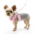 EasyGO Cherish Heart Step-In Dog Harness