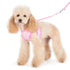 EasyGO Dots Step-In Dog Harness